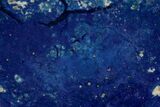 Vivid Blue, Cut/Polished Azurite Nodule Slice - Siberia #209513-1